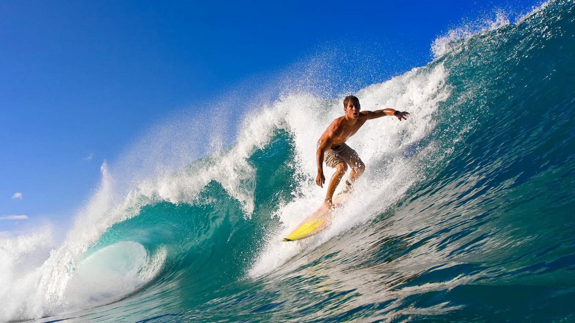 体育社交平台增长迅速